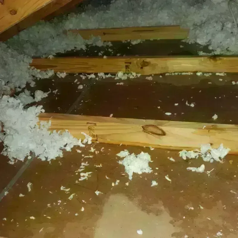 Attic Water Damage in Morenci, MI