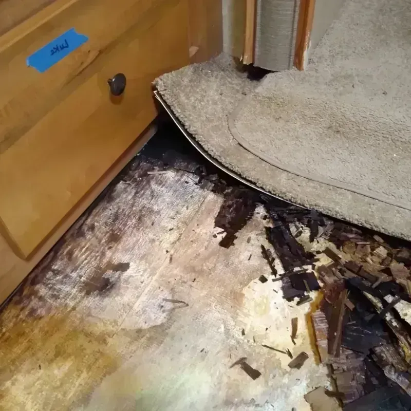 Wood Floor Water Damage in Morenci, MI